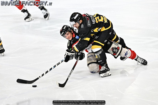 2025-02-08 Mastini Varese-Hockey Caldaro 0970 Michael Mazzacane